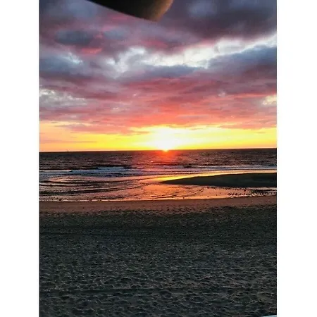 The Luette Comfortable *