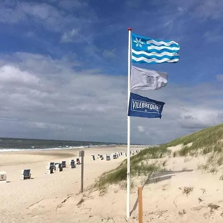 The Luette Comfortable *