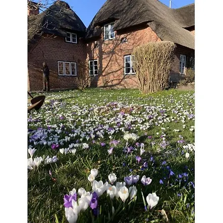 The Luette Comfortable