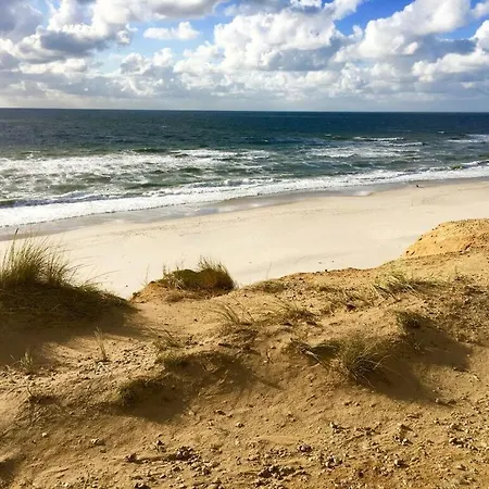 The Luette Comfortable *