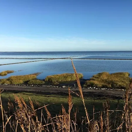 The Luette Comfortable *