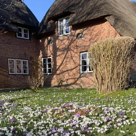 The Luette Comfortable